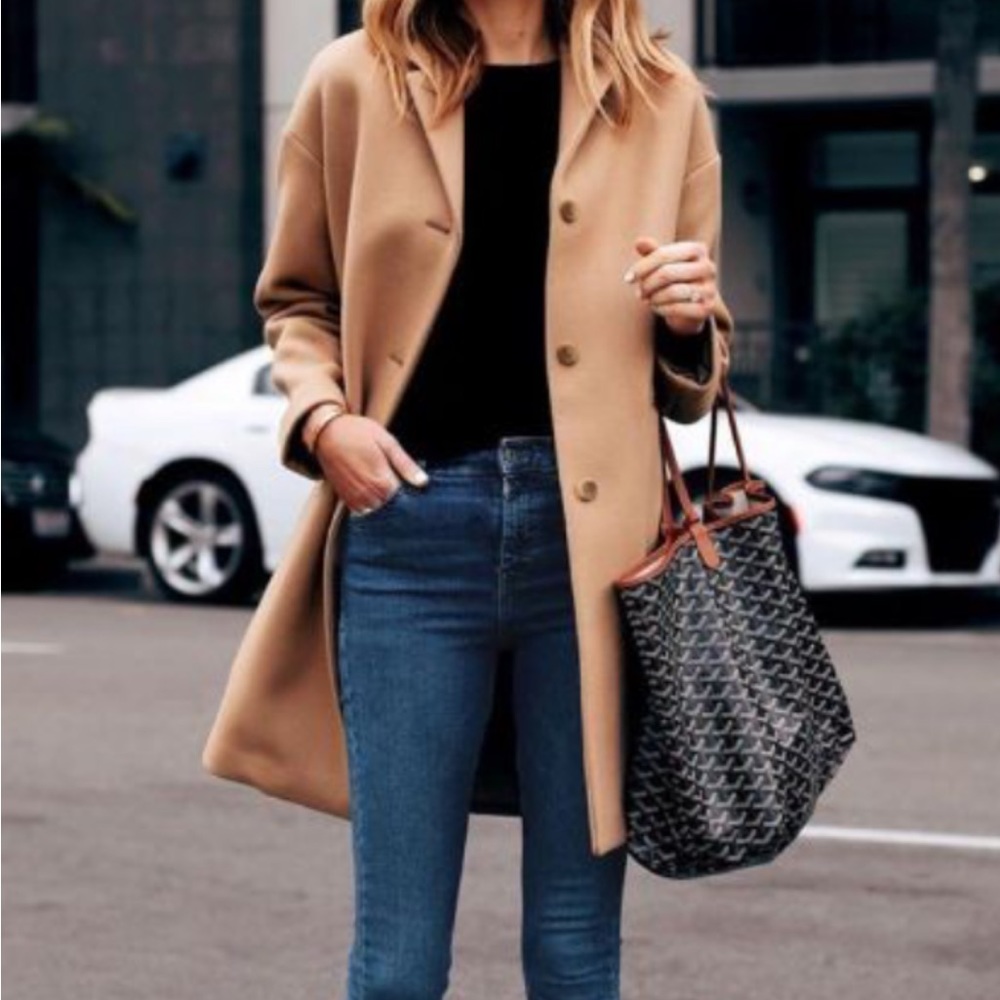 Everlane The Cocoon Coat